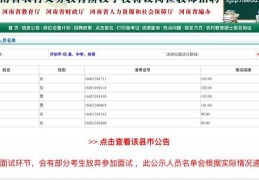 河南省特岗教师招聘报名系统，便捷高效的工作平台