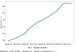 杠杆与杠杆率的含义及其重要性